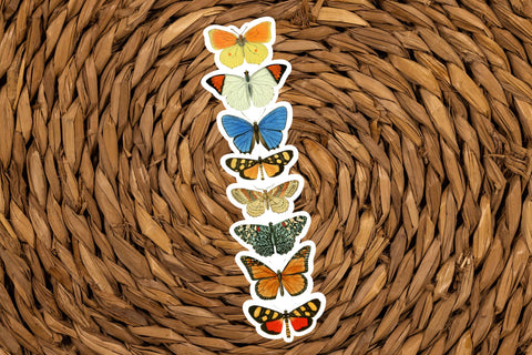 Image shows an Extra Tall (6.5 inches) Sticker of 8 lllustrated Butterflies in different colors.