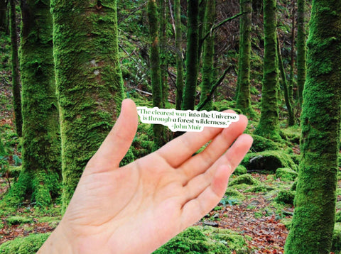 Hand holding an John Muir naturalist sticker for the outdoor lovers. The quote reads, "The clearest way into the universe is through a forest wilderness."