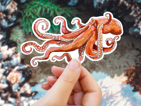 Octopus sticker for your water bottle, laptop, car sticker, journal, window, or other smooth surface.