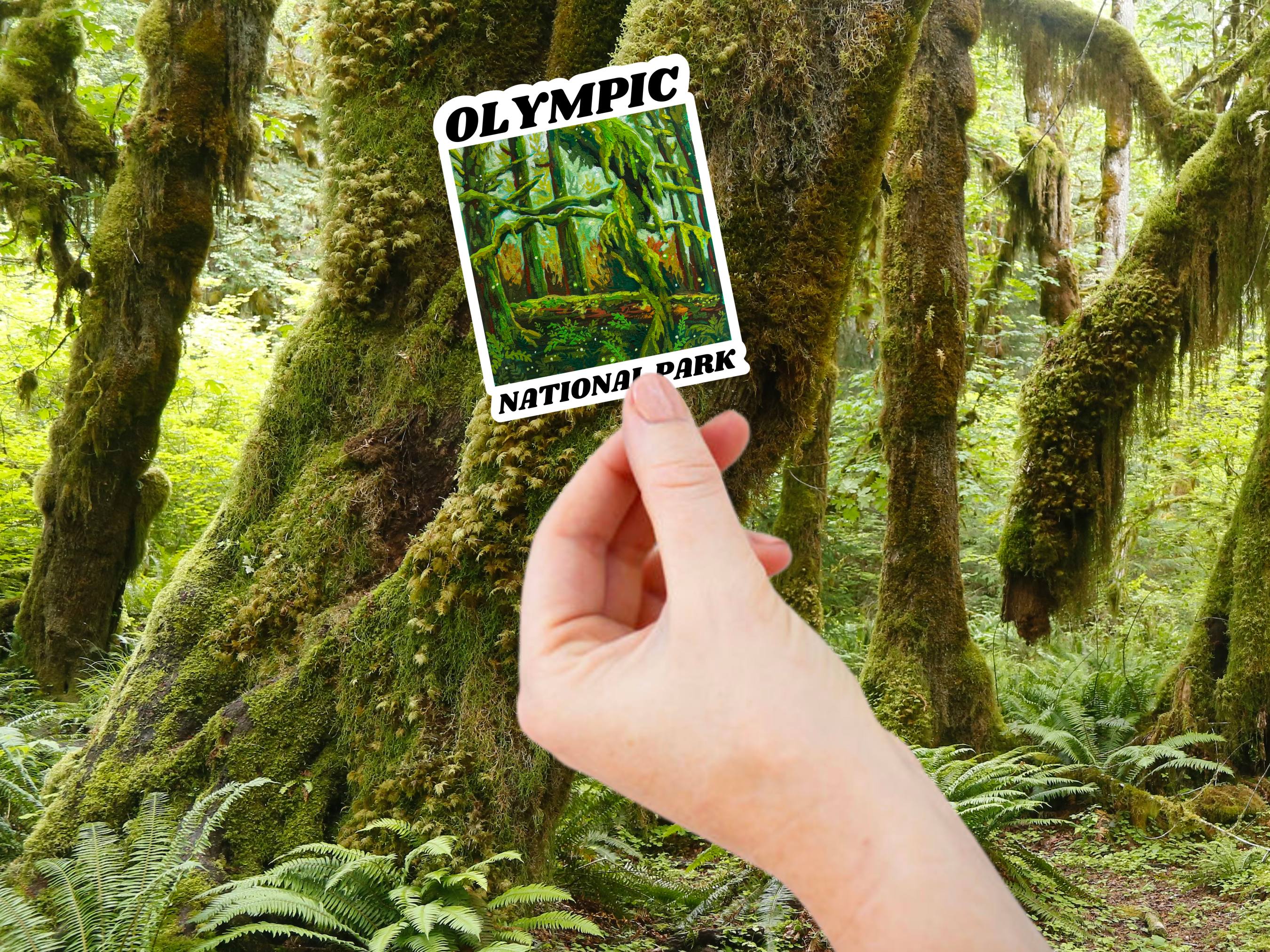 Hoh Rainforest Washington State Olympic National Park Hiking T-Shirt
