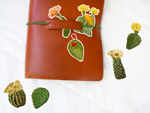 Cactus Western Sticker Pack - Desert Botanical Illustration, Succulent Cactus Christmas Gift, Laptop Phone Sticker, Water Bottle Vinyl Decal