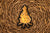 image a black and orange campfire sticker.