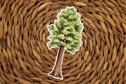 Extra Large Sequoia Tree Sticker