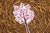Extra Large Blossom Tree Sticker