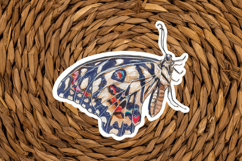 Moth sticker for your water bottle, laptop, car sticker, journal, window, or other smooth surface.  Perfect for personalizing your belongings or as a gift for your nature lover best friend.