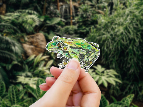 Realistic Frog vinyl sticker for your water bottle, laptop, car sticker, journal, window, or other smooth surface.  Perfect for personalizing your belongings or as a gift for someone who loves frogs and nature.