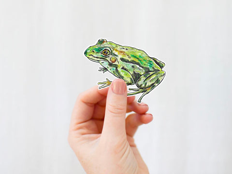 Frog vinyl sticker for your water bottle, laptop, car sticker, journal, window, or other smooth surface.  Perfect for personalizing your belongings or as a gift for someone who loves frogs and nature.