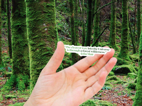 John Muir naturalist sticker for the outdoor lovers. The quote reads, "The clearest way into the universe is through a forest wilderness."  Outdoor vinyl sticker for your water bottle, laptop, car sticker, journal, window, or other smooth surface.