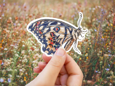Moth sticker for your water bottle, laptop, car sticker, journal, window, or other smooth surface.  Perfect for personalizing your belongings or as a gift for your nature lover best friend.