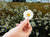 image shows a hand holding a White Daisy Flower sticker for your water bottle, laptop, car sticker, journal, window, or other smooth surface.