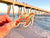 Sea Turtle Sticker, Ocean Gift - Turtle Vinyl Sticker for Phone Case, Water Bottle 30A Florida Vacation, Sea Turtle Charm, Beach Decor