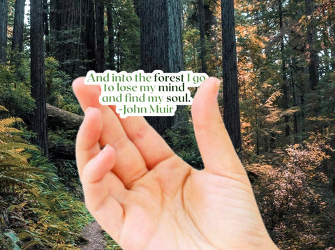 Nature vinyl sticker for your water bottle, laptop, car sticker, journal, window, or other smooth surface.  Perfect for personalizing your belongings or as a gift for someone who loves the forest and the mountains.