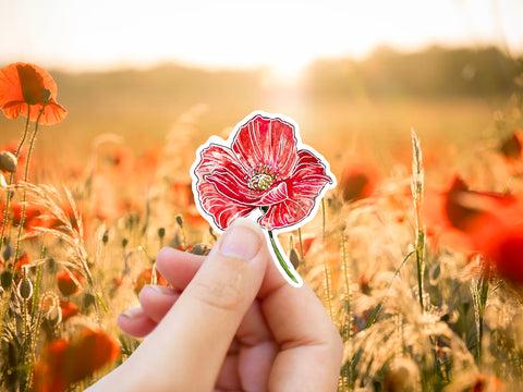 Red poppy sticker for your water bottle, laptop, car sticker, journal, window, or other smooth surface.  Perfect for personalizing your belongings or as a gift for someone who loves flowers and could use some extra encouragement!