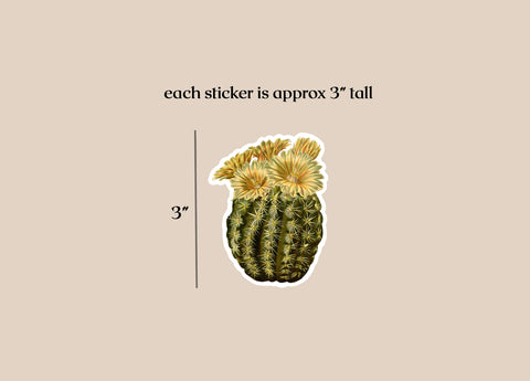 Cactus Western Sticker Pack - Desert Botanical Illustration, Succulent Cactus Christmas Gift, Laptop Phone Sticker, Water Bottle Vinyl Decal
